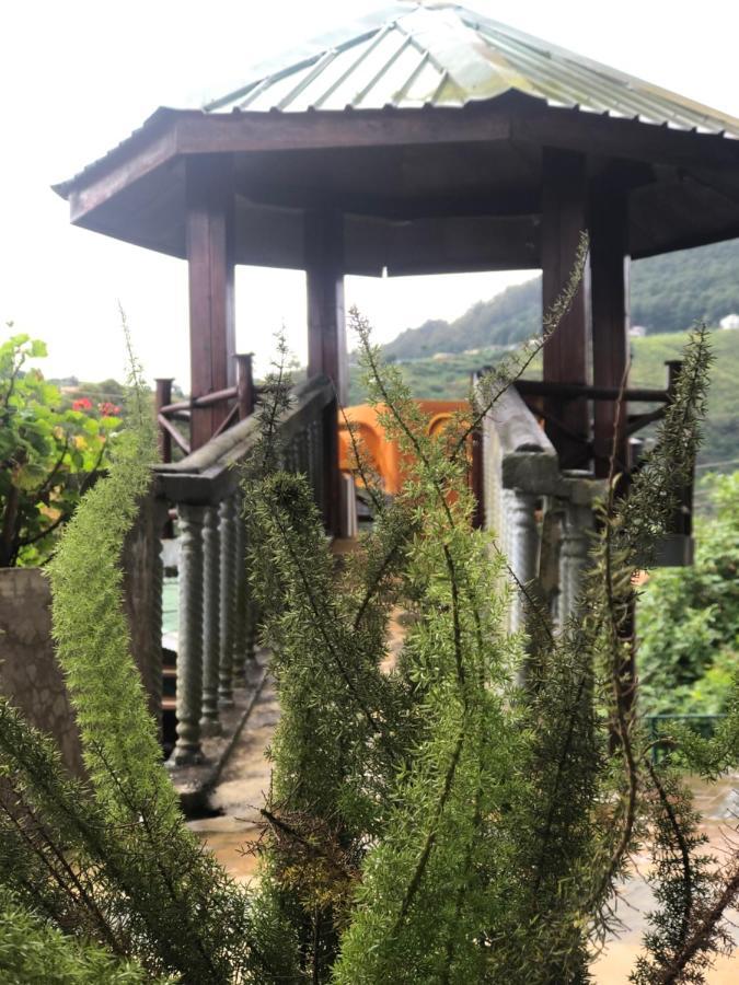Pigeons Nest Bed & Breakfast Nuwara Eliya Luaran gambar