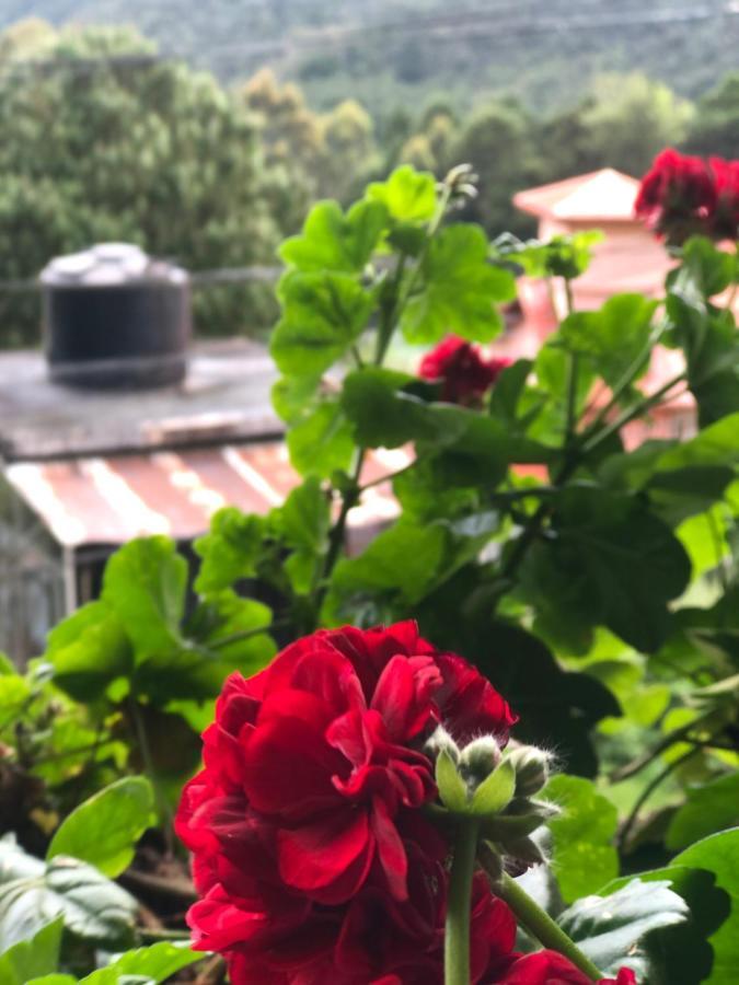Pigeons Nest Bed & Breakfast Nuwara Eliya Luaran gambar